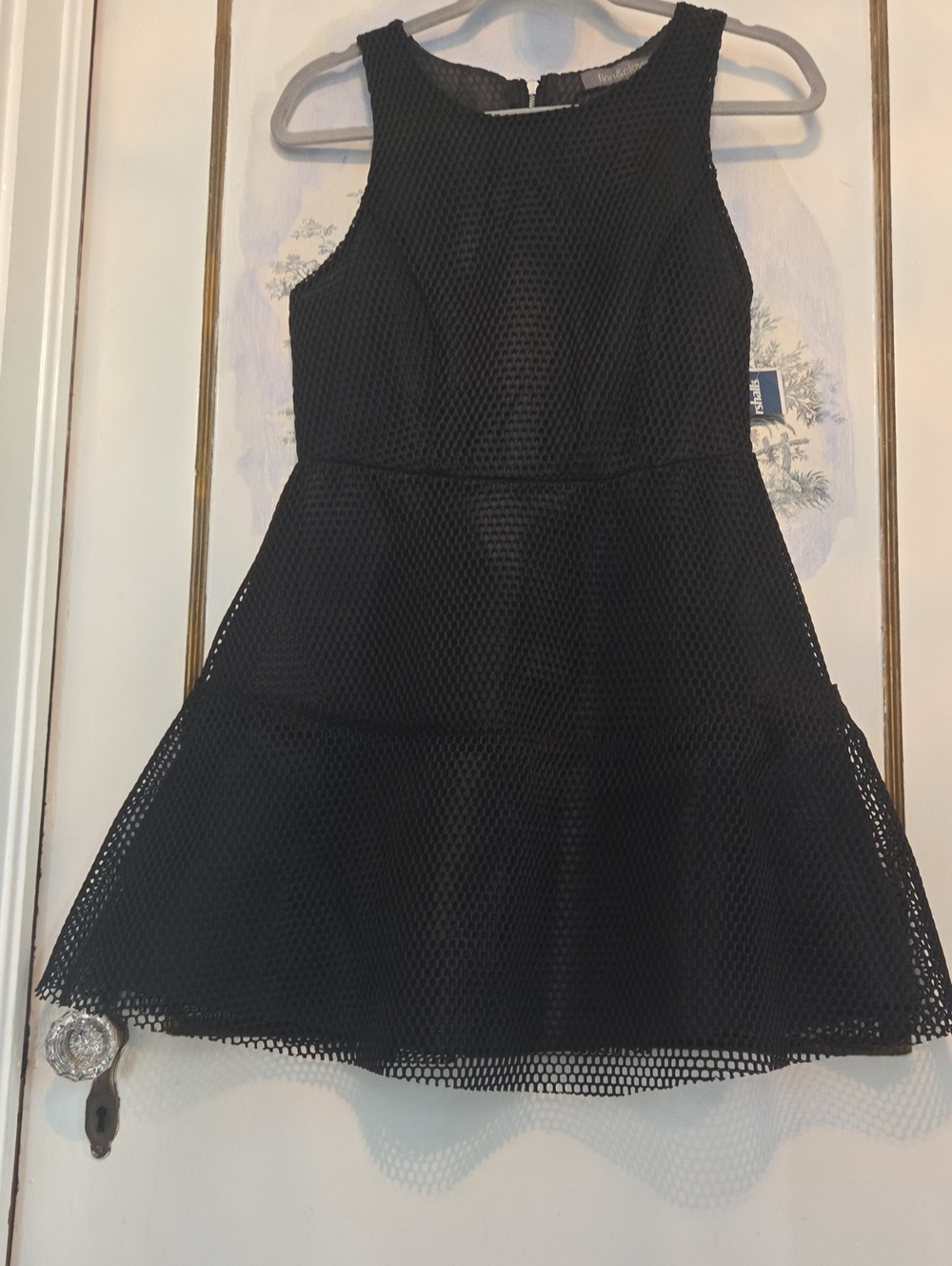 finn & clover Black Mesh Sleeveless Fit-and-Flare Dress
